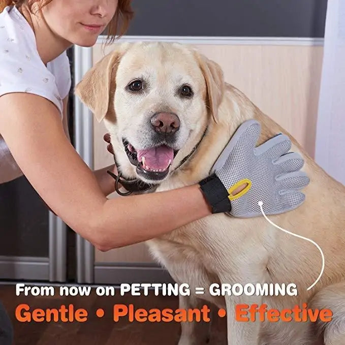 Grooming Gloves