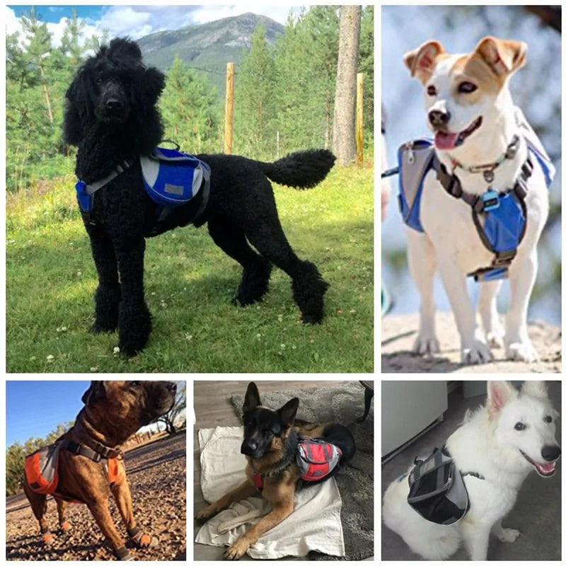 2 in 1 Dog Harness Backpack