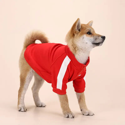 Winter Dog Jacket