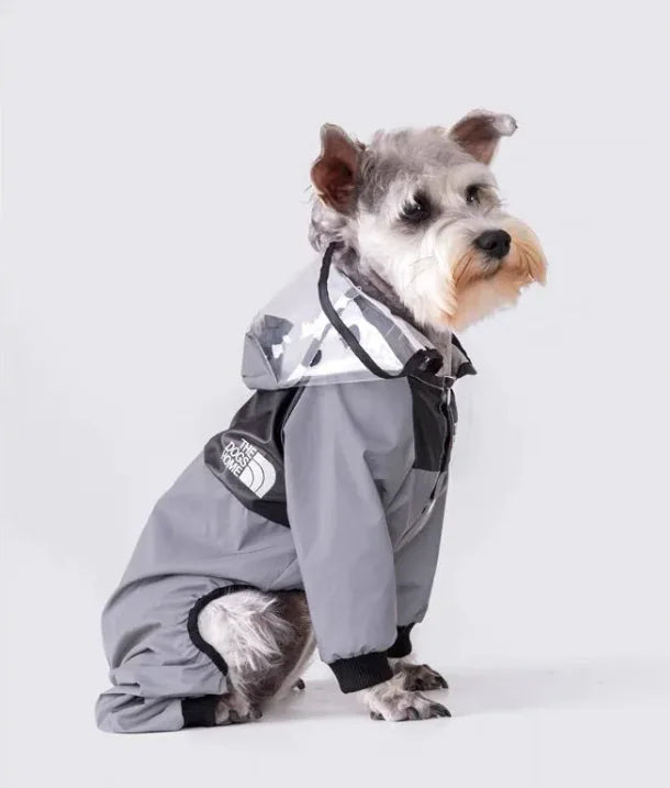 Raincoat for dogs