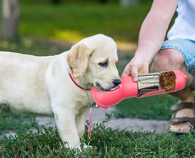 3 in 1 Pet Feeder