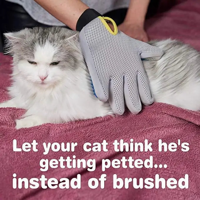 Grooming Gloves