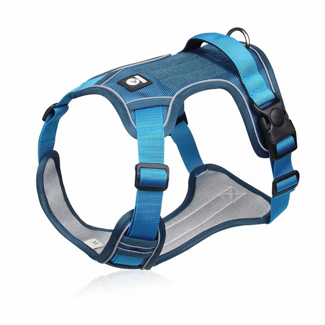 Adjustable Dog Harness