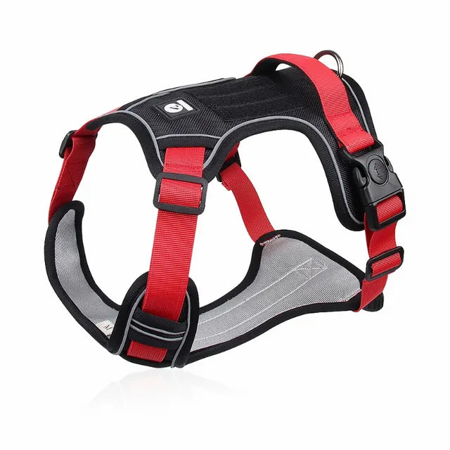 Adjustable Dog Harness