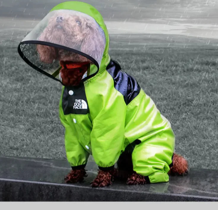 Raincoat for dogs