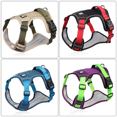 Adjustable Dog Harness