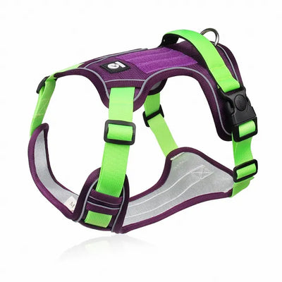 Adjustable Dog Harness