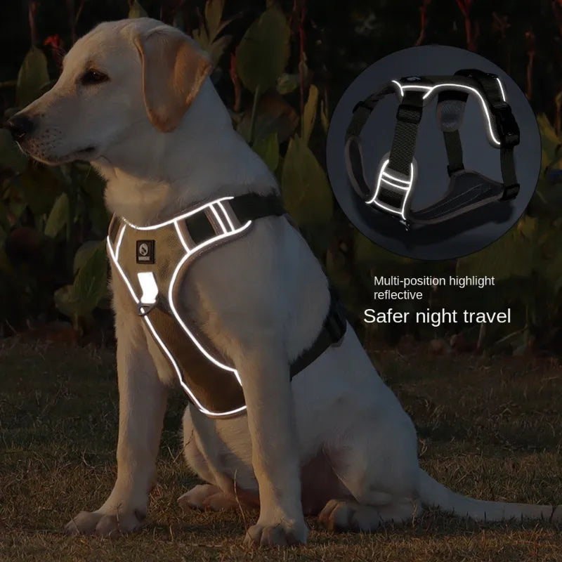 Adjustable Dog Harness